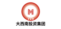 大西南投资集团