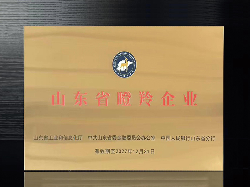 2024年
