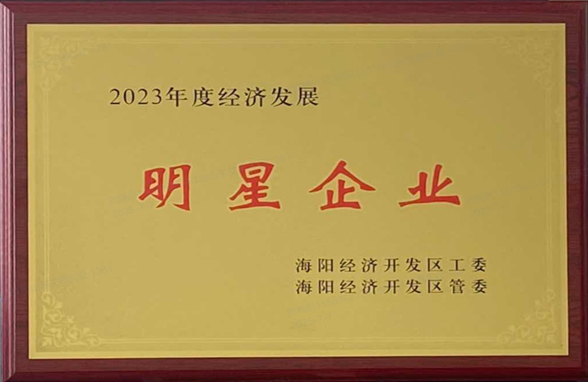 2023年度市明星企业